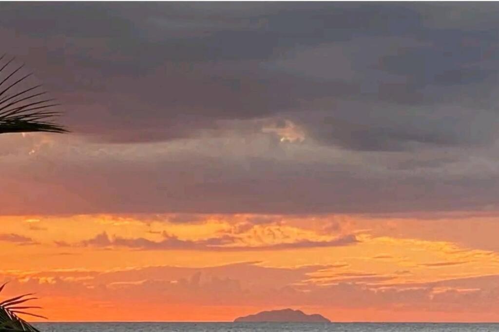 Summer All Year! Oceanfront With Pool A/C Aguadilla Buitenkant foto