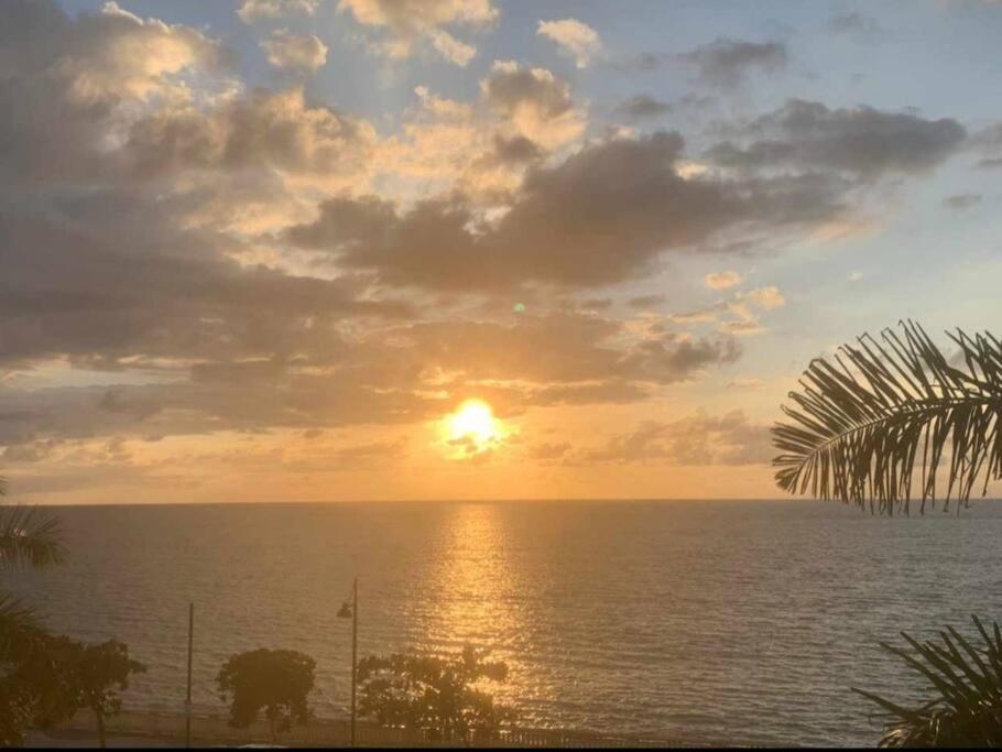 Summer All Year! Oceanfront With Pool A/C Aguadilla Buitenkant foto